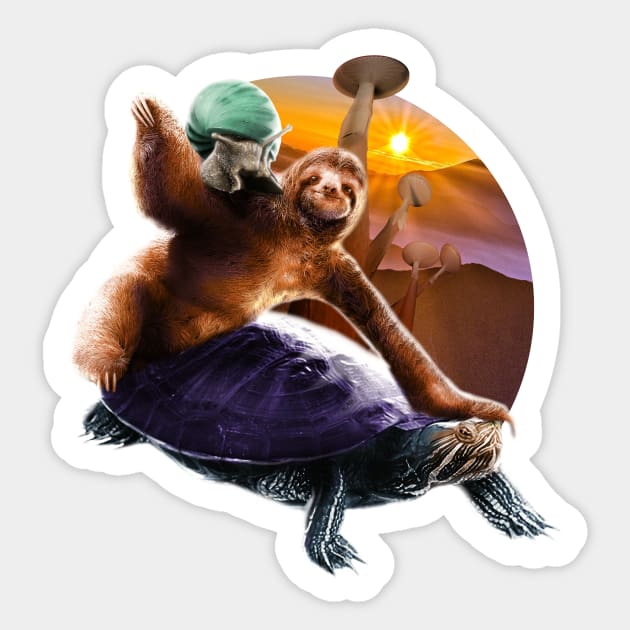 Sloth Turtle Snail Sticker by Random Galaxy